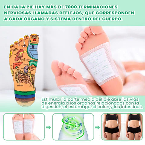 Parches Kinoki DETOX
